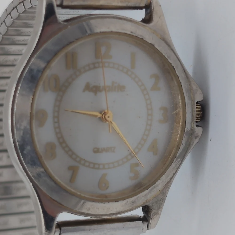 Aqualute Quartz Silver and Gold Analog Watch